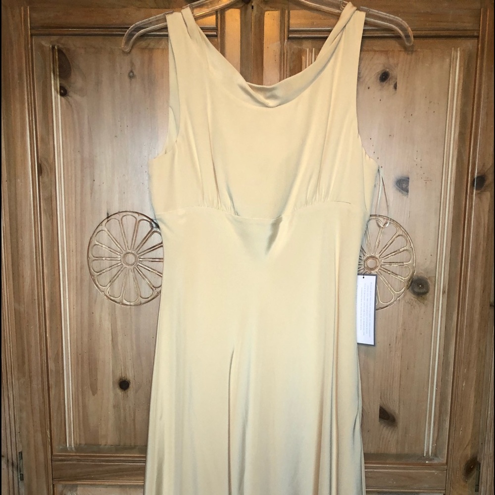 J.Crew Champagne Special Occasion Dress (NWT).